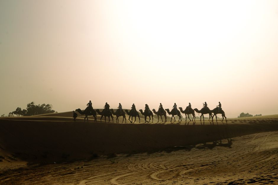 Camel caravan at sunset in the Arabian desert
