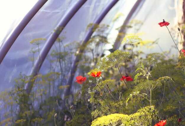 Where to Find Botanical and Nature <a href=
