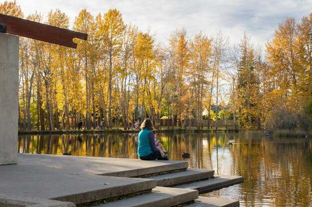 How to Find Quiet Zones in IST: Top Places for Focus