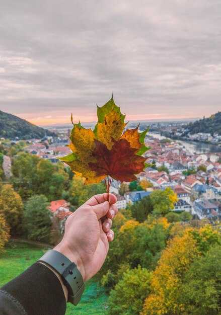 The Best Time to Visit Turkey: Seasonal Weather, Crowds & Travel Tips