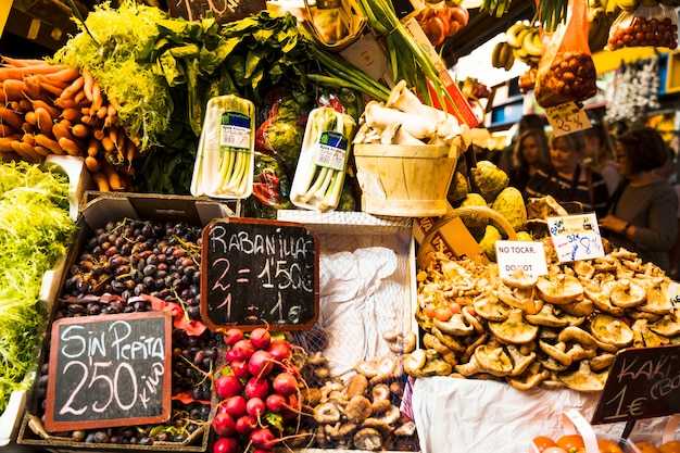 Timing and Access: Hours, Best Days, and Seasonal Discounts