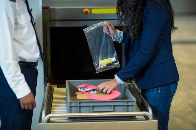 Drop-off and retrieval at Istanbul Airport (IST)