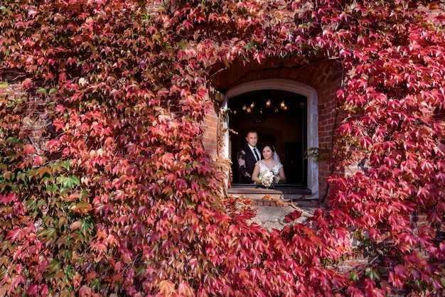 Lost in Turkey: Isparta Travel Guide to Hidden Gems and Rose Gardens