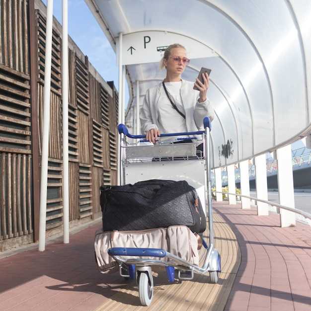 Air Travel for People with Disabilities: Tips and Policies