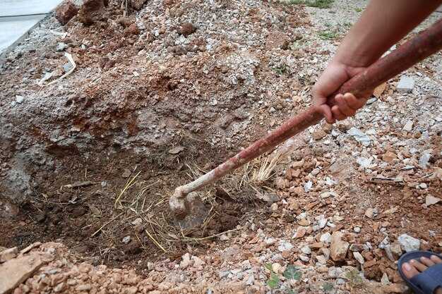 What are safe practices for knee-deep fieldwork in varying weather?