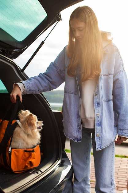 Travelling with Pets: The Essential Guide to Safe, Stress-Free Travel