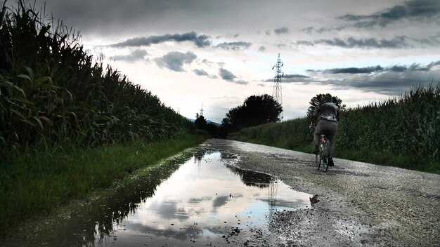 What are the main environmental, health, and ecological risks to consider before deployment?
