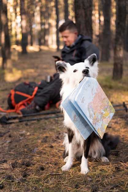 Guardian Verification, China Quarantine Rules, and Service Dog Transportation